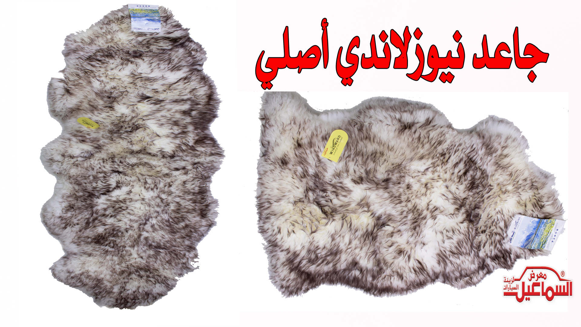 جاعد نيوزلاندي