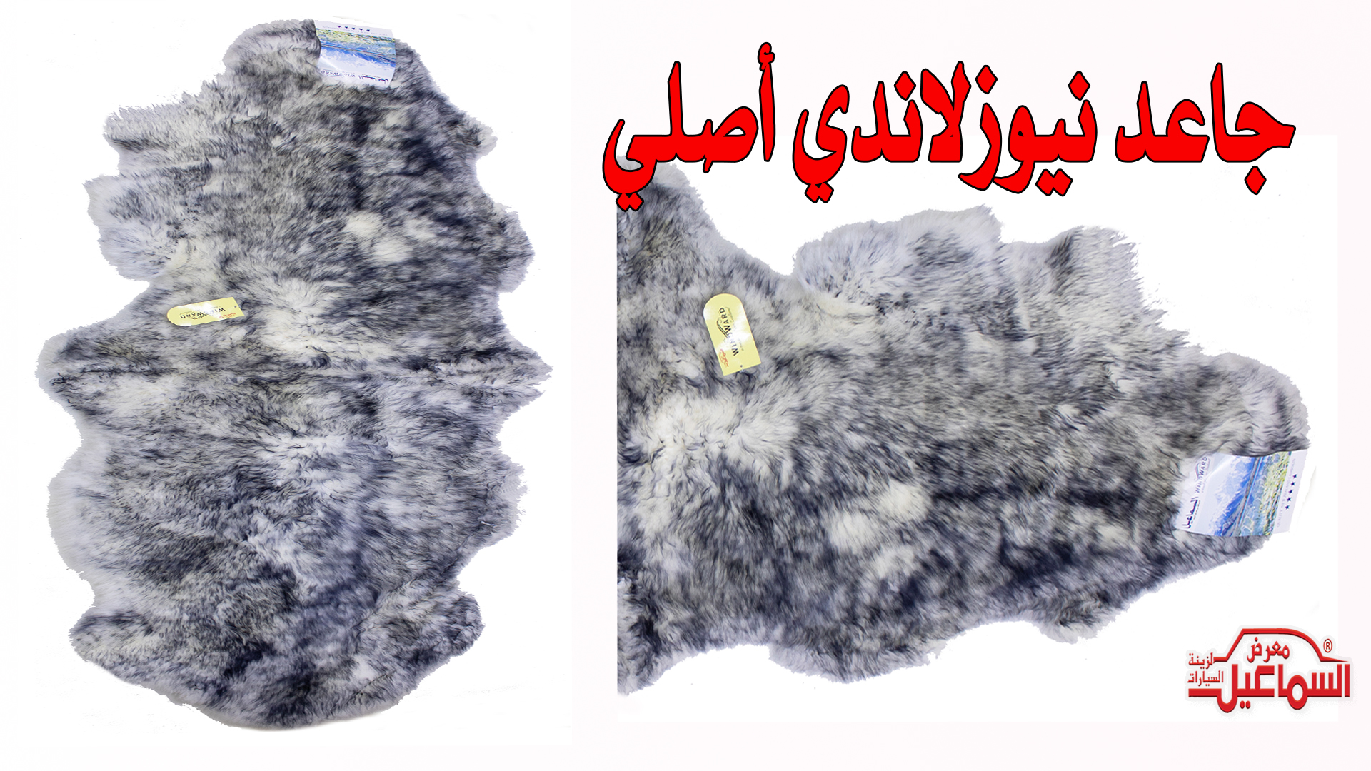 جاعد نيوزلاندي